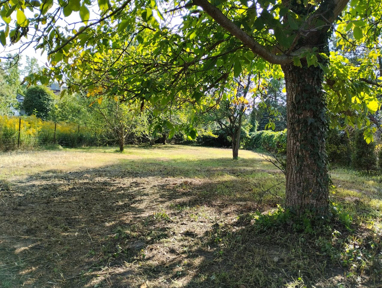 Działka budowlana Milanówek, ul. Lipowa. Zdjęcie 6