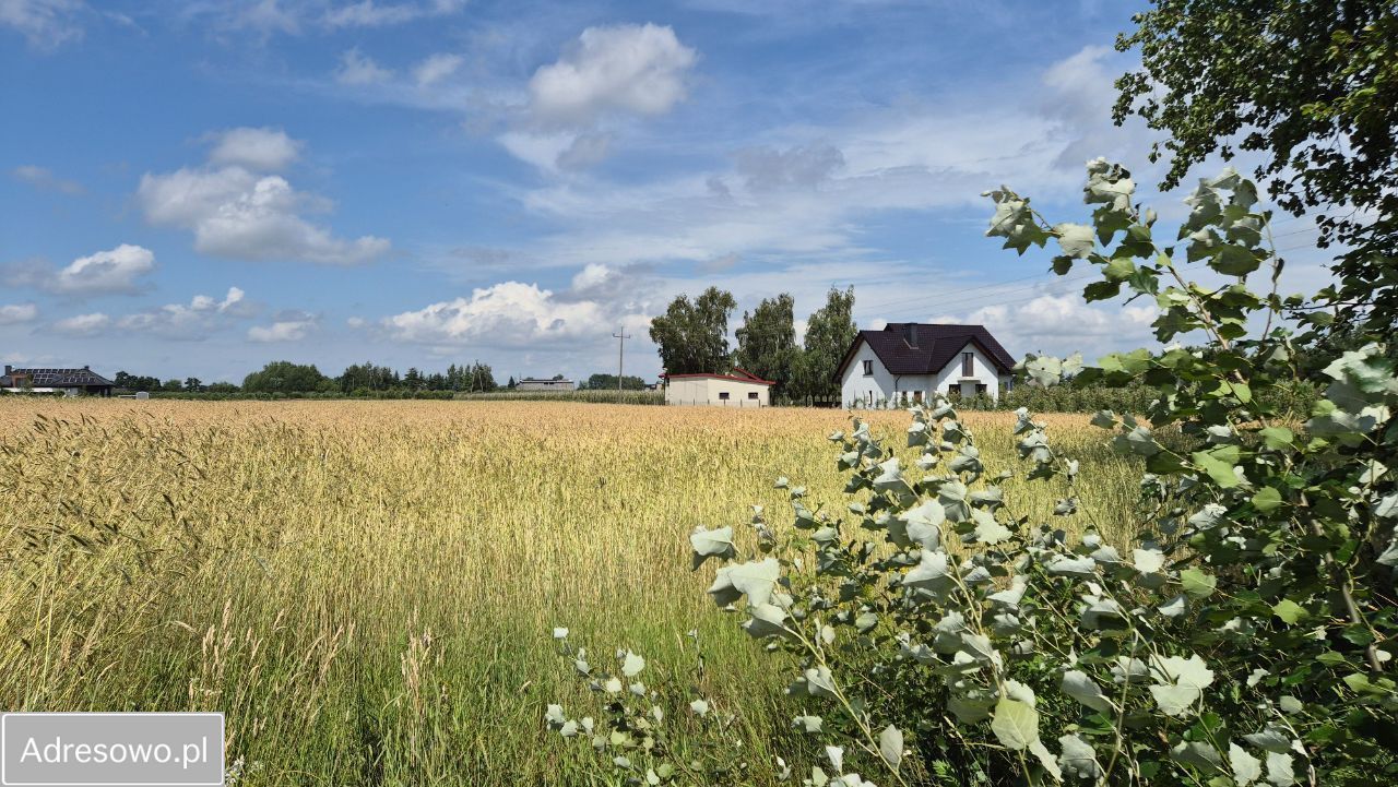 Działka rolno-budowlana Grudzkowola. Zdjęcie 8