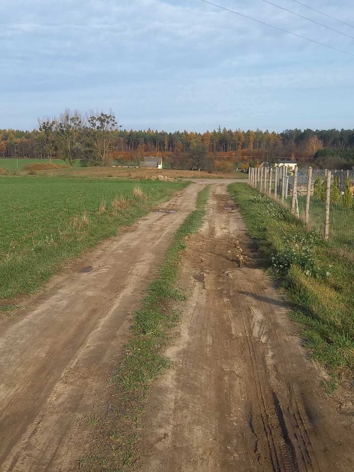 Działka budowlana Ciche. Zdjęcie 5