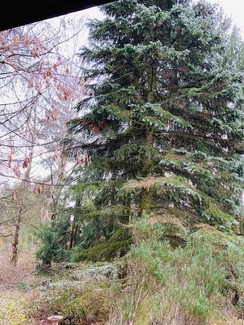 Działka rekreacyjna Młynarze. Zdjęcie 5