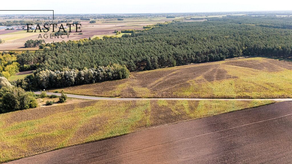Działka leśna Maurzyce. Zdjęcie 5