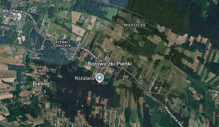 dom wolnostojący Borowiczki-Pieńki