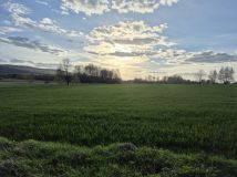 Działka rolno-budowlana Baszowice, Nie ma. Zdjęcie 1