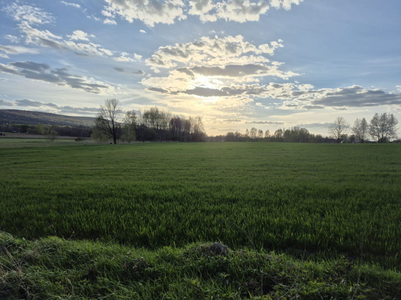 Działka rolno-budowlana Baszowice, Nie ma. Zdjęcie 2