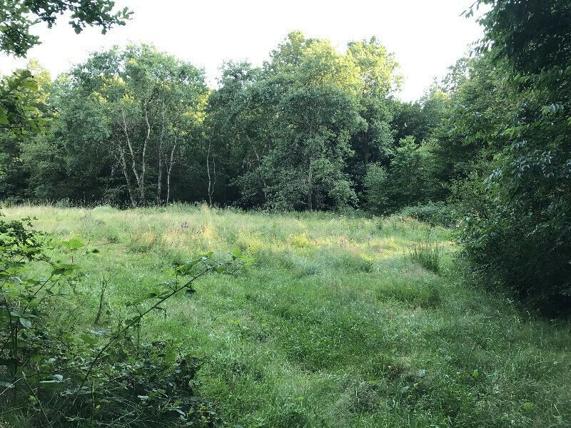 Działka rekreacyjna Rusocice. Zdjęcie 2