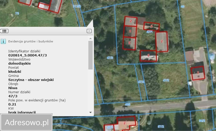 Działka rolna Niwa. Zdjęcie 12