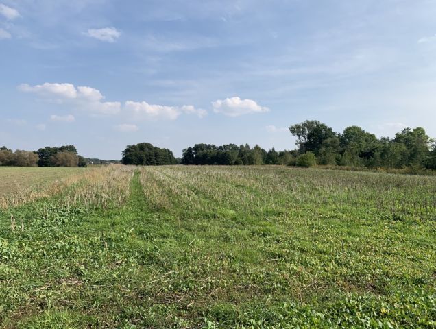 Działka budowlana Łódź Polesie, ul. Kirasjerów. Zdjęcie 1