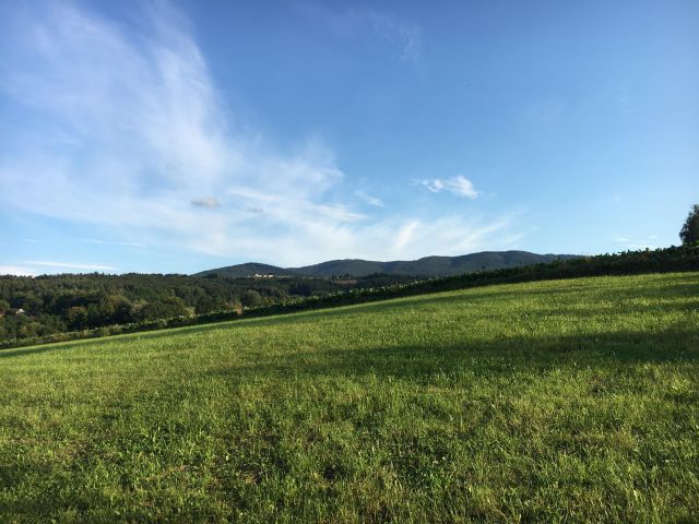 Działka budowlana Kierlikówka Orzechówka. Zdjęcie 1