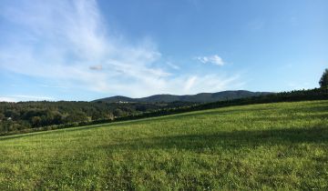 Działka budowlana Kierlikówka Orzechówka