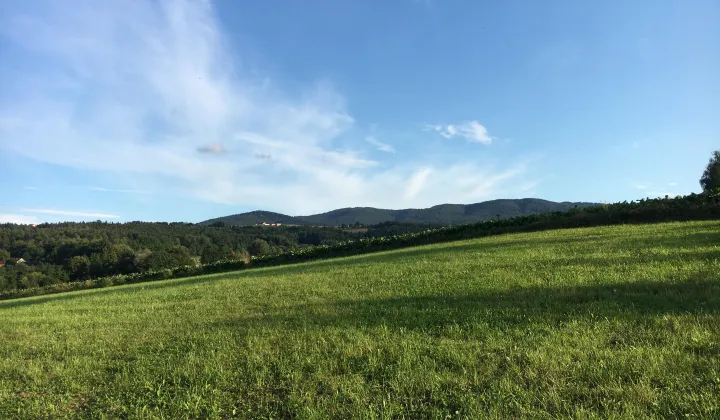 Działka budowlana Kierlikówka Orzechówka