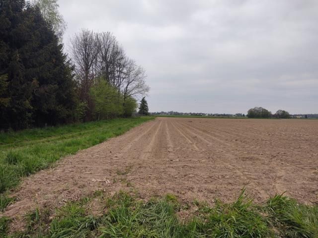 Działka siedliskowa Pruchna. Zdjęcie 6