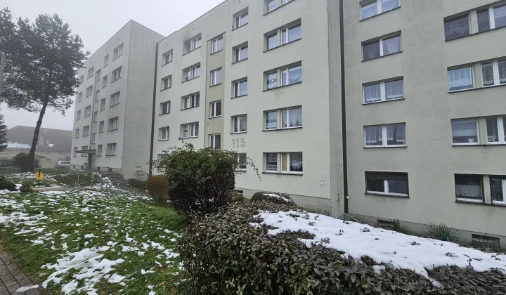 Mieszkanie 1-pokojowe Pszów Doły Pszowskie, os. Tadeusza Kościuszki