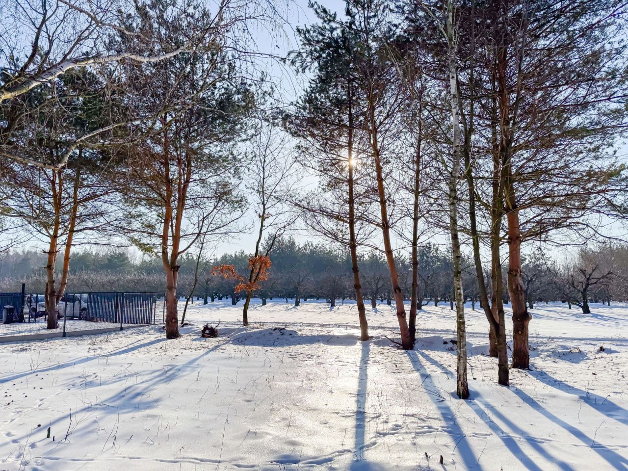 Działka budowlana Zaręby. Zdjęcie 6