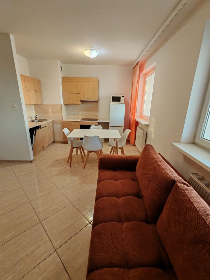 Mieszkanie 2-pokojowe Poznań Winiary, ul. Piątkowska. Zdjęcie 13