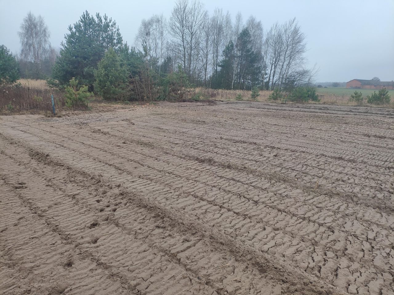 Działka budowlana Wólka Krasienińska. Zdjęcie 5