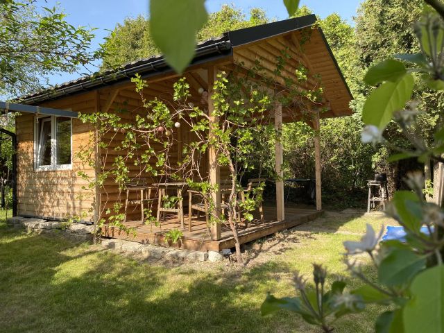 Działka rekreacyjna Kraków Prądnik Biały, park Stanisława Wyspiańskiego. Zdjęcie 1