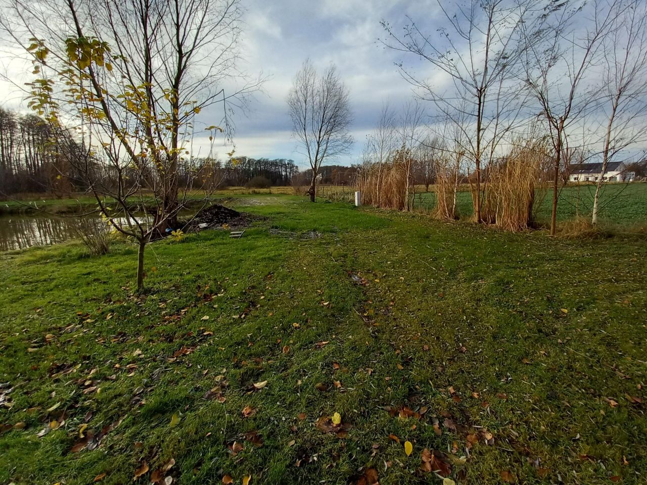 Działka inwestycyjna Krężoły, ul. Ziołowa. Zdjęcie 9