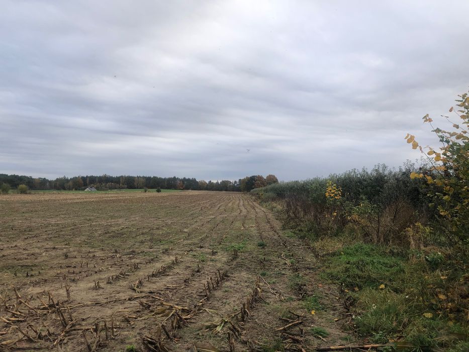 Działka budowlana Mochle. Zdjęcie 2