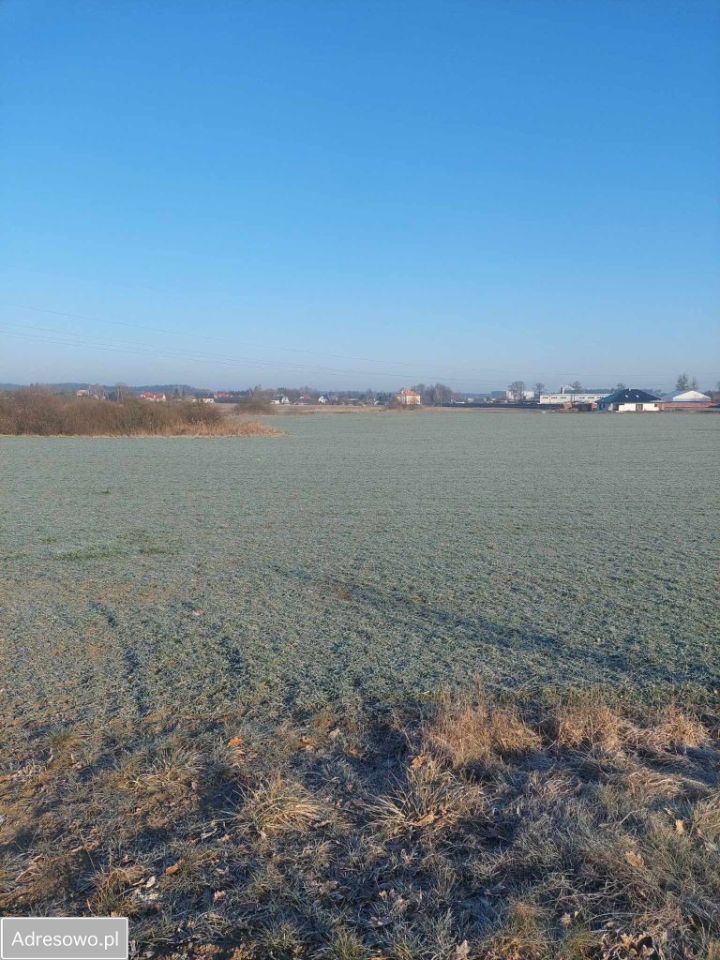 Działka budowlana Nidzica, ul. Dubieńska. Zdjęcie 3