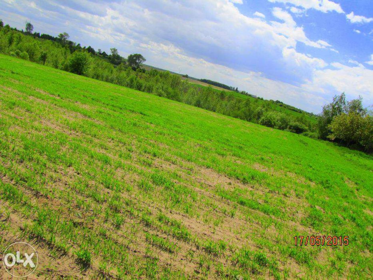 Działka budowlana Psary. Zdjęcie 7