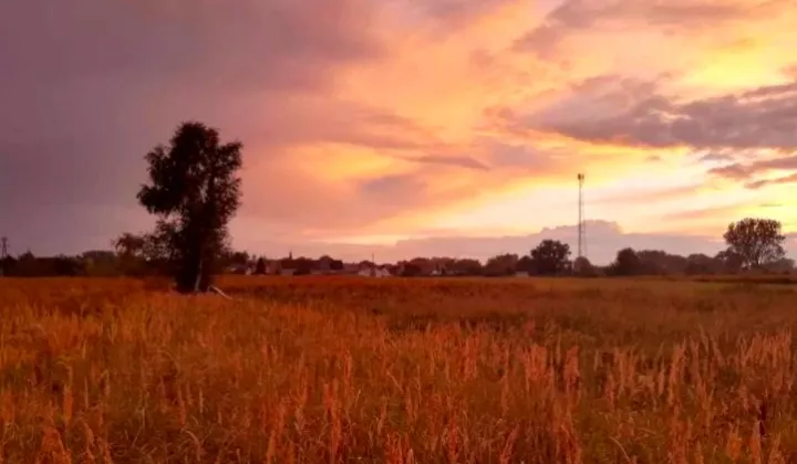 Działka budowlana Marianowo, Marianowo