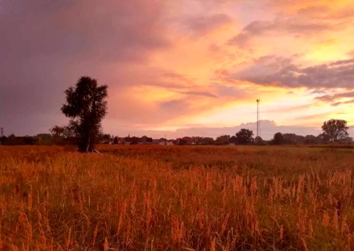 Działka budowlana Marianowo. Zdjęcie 1