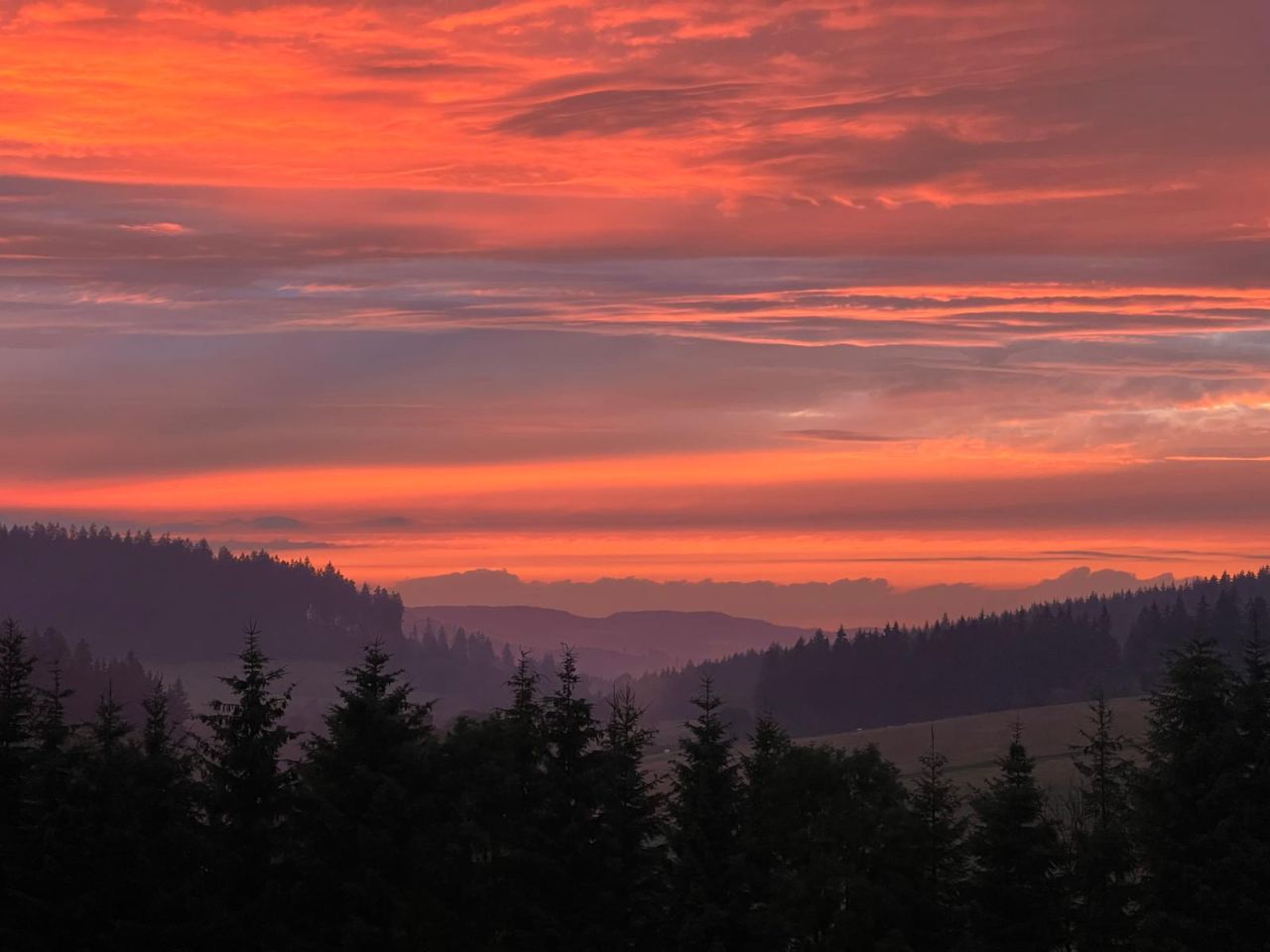 Działka budowlana Bartnica Wyrębina. Zdjęcie 8