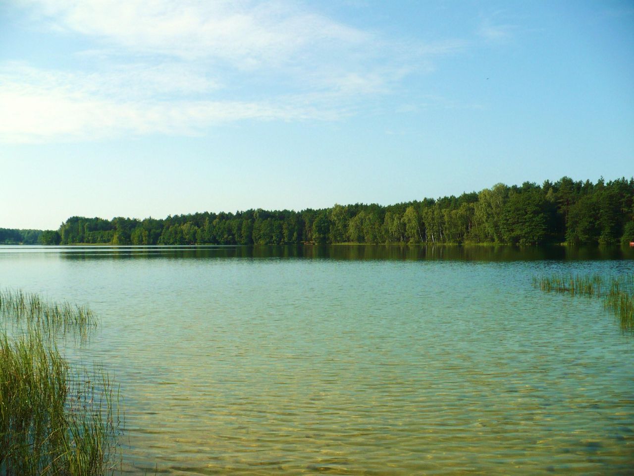 Działka budowlana Główka. Zdjęcie 6