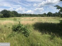 Działka budowlana Józefów, ul. Akacjowa. Zdjęcie 2