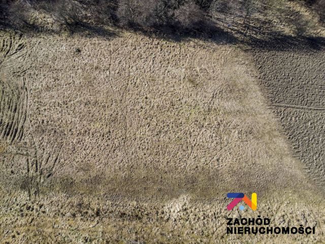 Działka budowlana Zielona Góra Racula, ul. Racula-Międzylesie. Zdjęcie 7