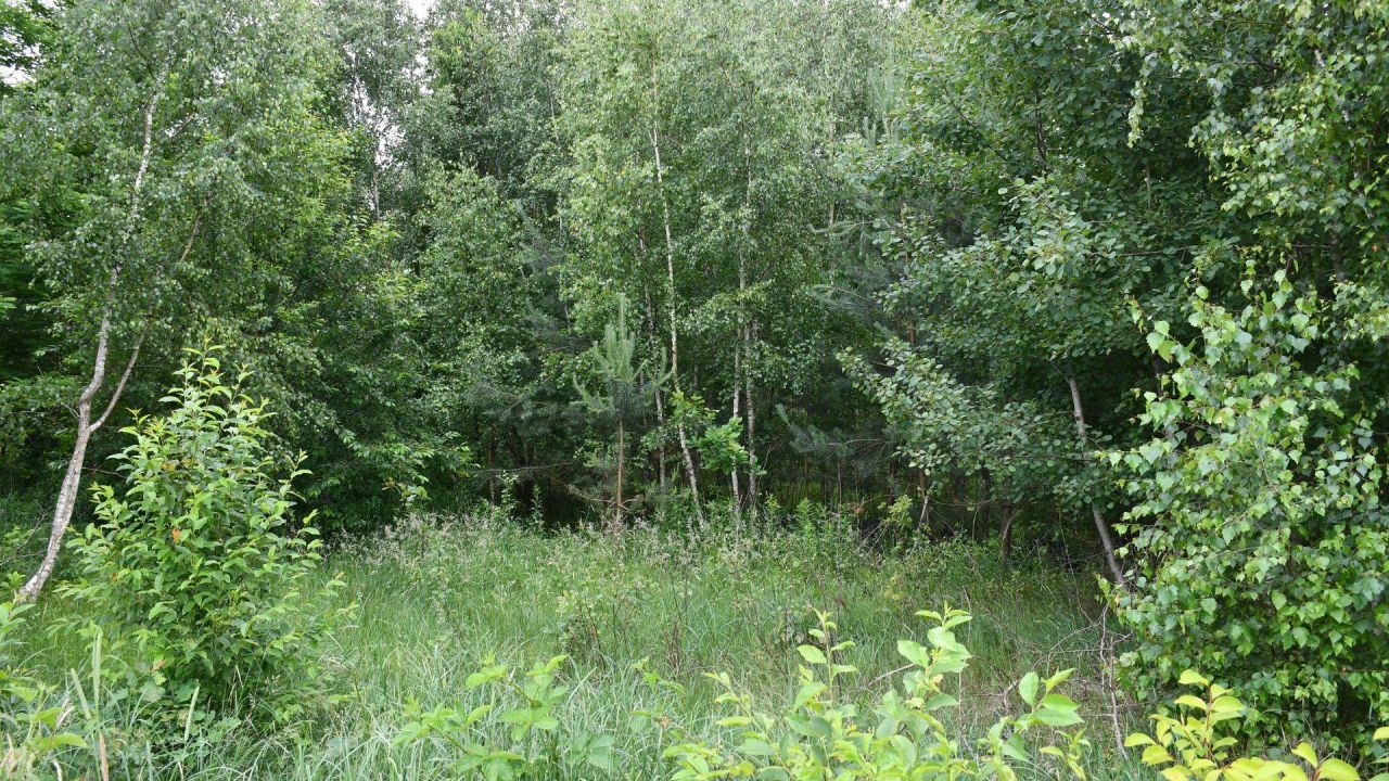 Działka inwestycyjna Szczaki, ul. Łanowa. Zdjęcie 10