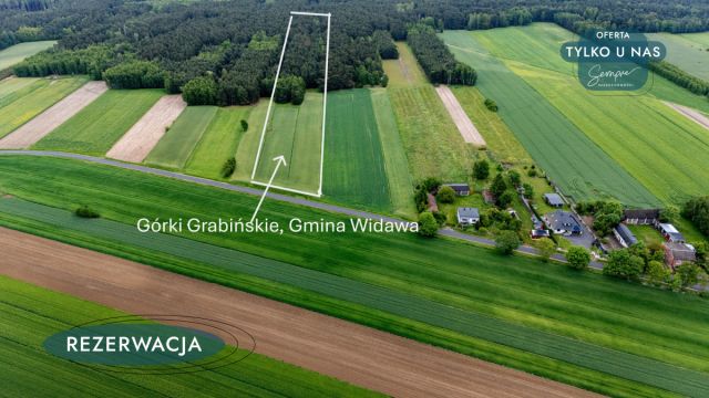 Działka rolna Górki Grabińskie. Zdjęcie 2