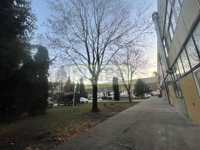 Hala/magazyn Warszawa Bielany. Zdjęcie 15