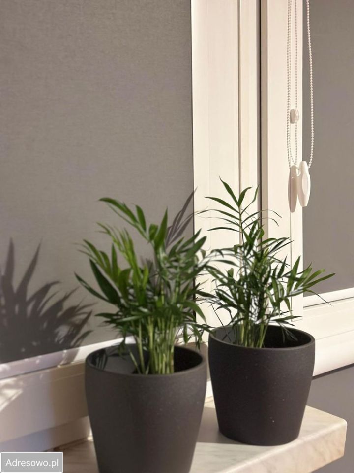 Mieszkanie 3-pokojowe Łódź Retkinia. Zdjęcie 16