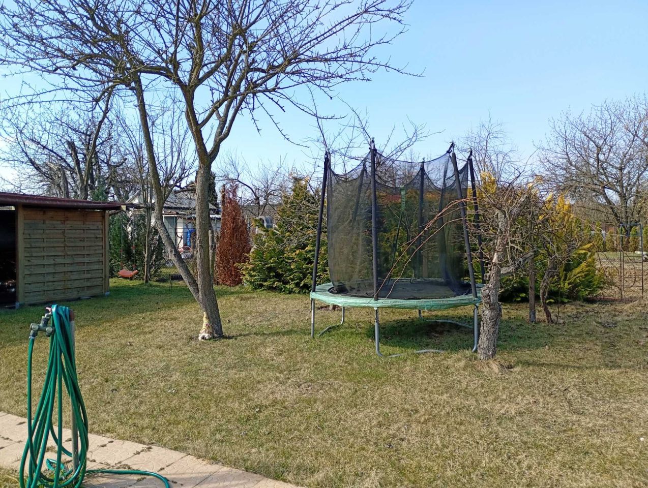 Działka rod Gorzów Wielkopolski. Zdjęcie 6