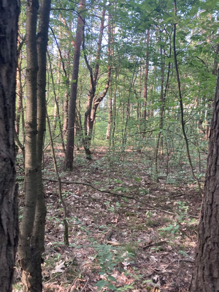 Działka budowlana Otwock Soplicowo, ul. Łowiecka. Zdjęcie 11