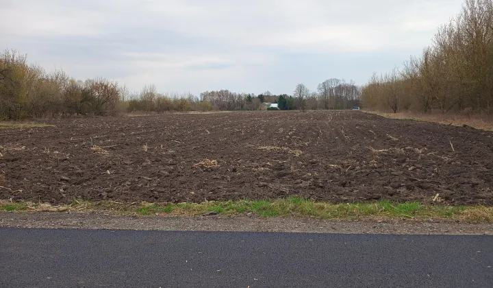 Działka budowlana Terespol, ul. Marii Konopnickiej