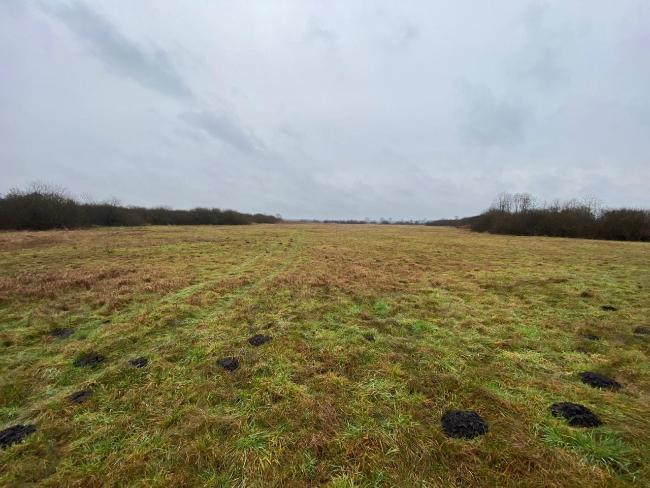 Działka budowlana Przyłęki, ul. Rolna. Zdjęcie 3
