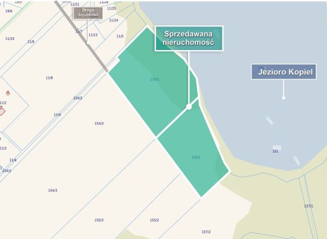 Działka budowlana Dziki. Zdjęcie 11