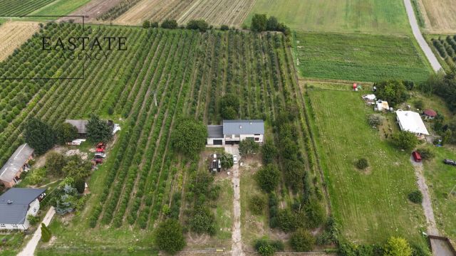 dom wolnostojący, 4 pokoje Świdno. Zdjęcie 27