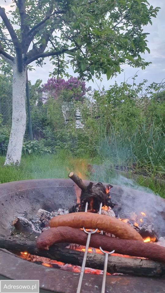 Działka rod Szczecin Śródmieście. Zdjęcie 17