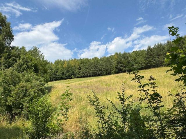 Działka rolna Jerzmanowice. Zdjęcie 1