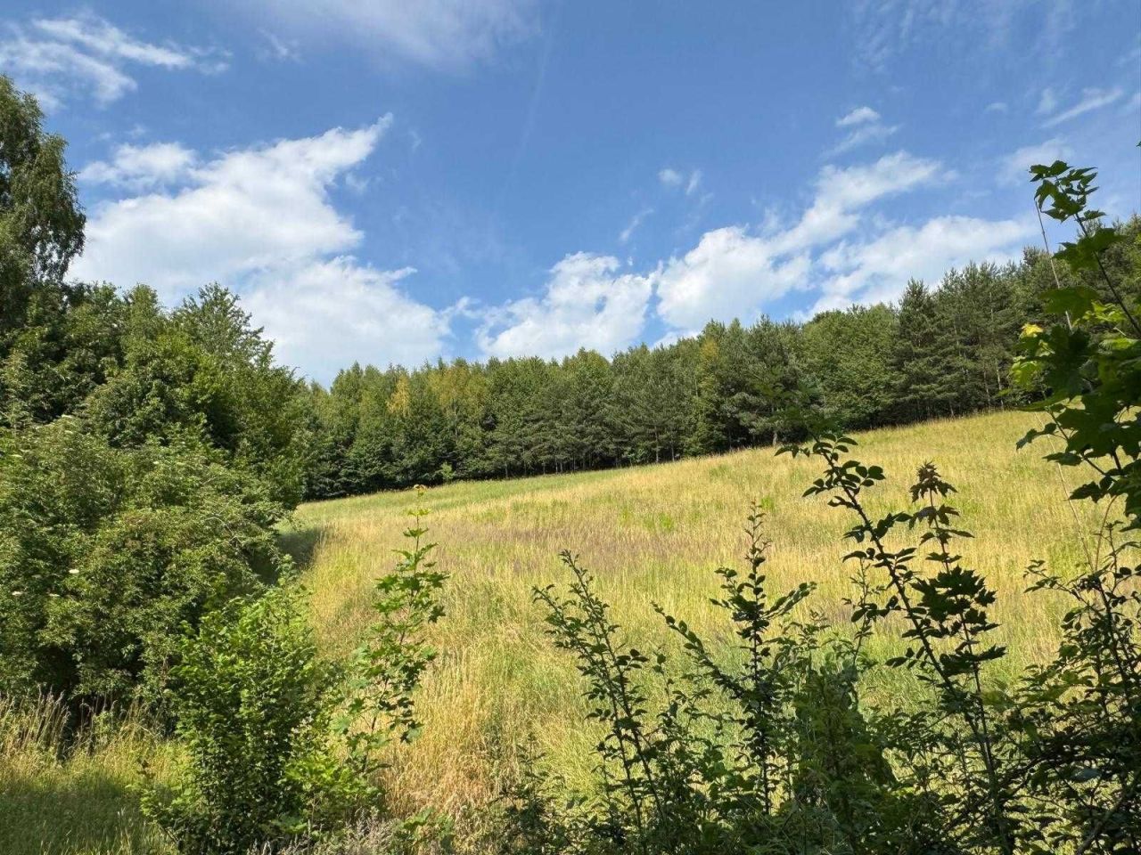 Działka rolna Jerzmanowice. Zdjęcie 1