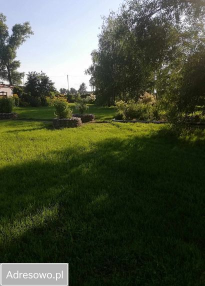 Lokal Szynwałd. Zdjęcie 3