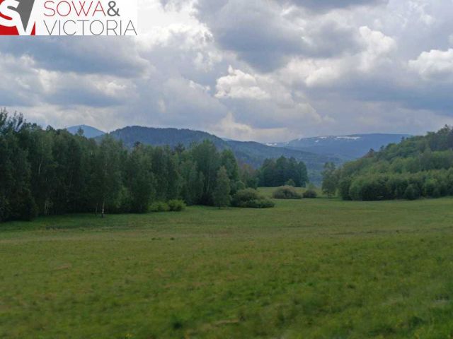 Działka rolna Głębock. Zdjęcie 11