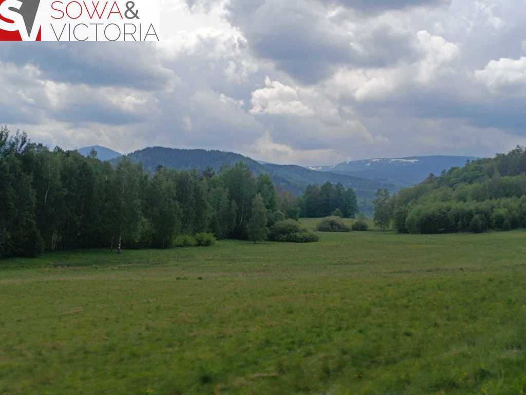 Działka rolna Głębock. Zdjęcie 11