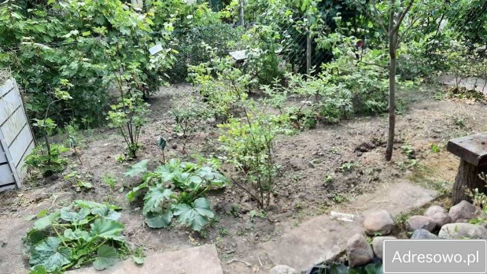 Działka rod Szczecin Pomorzany, ul. Białowieska. Zdjęcie 9