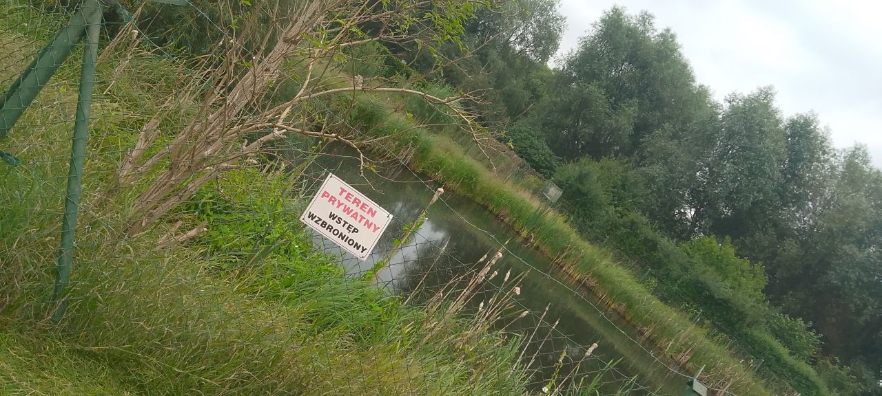 Działka rod Tczew Czyżykowo, ul. Ceglarska. Zdjęcie 6