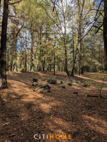 Działka siedliskowa Czarnowiec. Zdjęcie 7