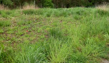Działka budowlana Rożno-Parcele, ul. Chabrowa